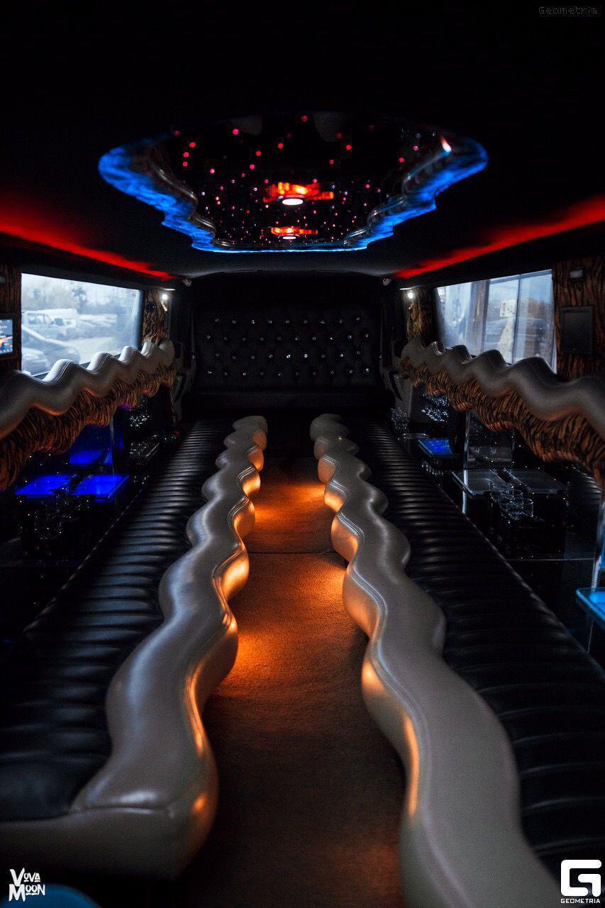 LIMOUSINE AT DISPOSAL