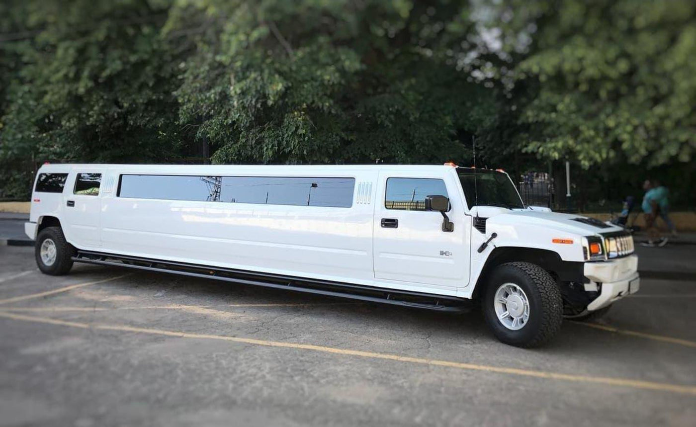 LIMOUSINE AT DISPOSAL