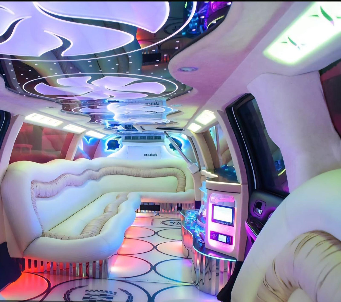 LIMOUSINE AT DISPOSAL